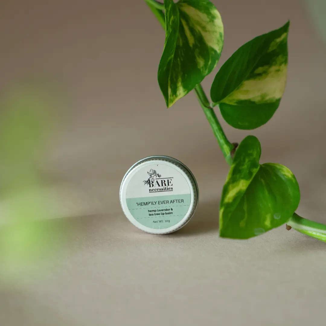 Pack of 3 Natural Lip Balms - Travel Size Lip Care Gift Set - Image 3